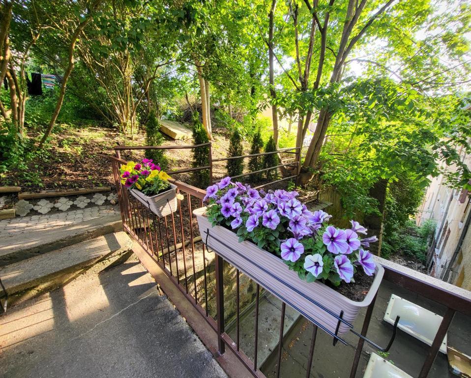 Excellent Apartments In Spa City Center 5 Min Walk From The Colonnade Karlovy Vary Eksteriør bilde