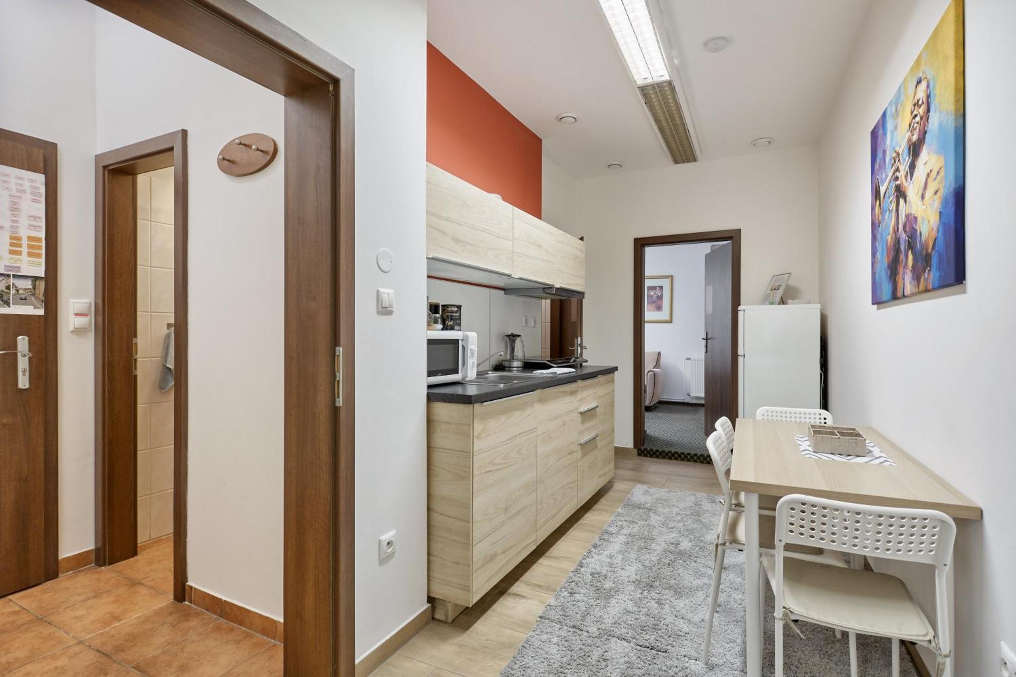 Excellent Apartments In Spa City Center 5 Min Walk From The Colonnade Karlovy Vary Eksteriør bilde