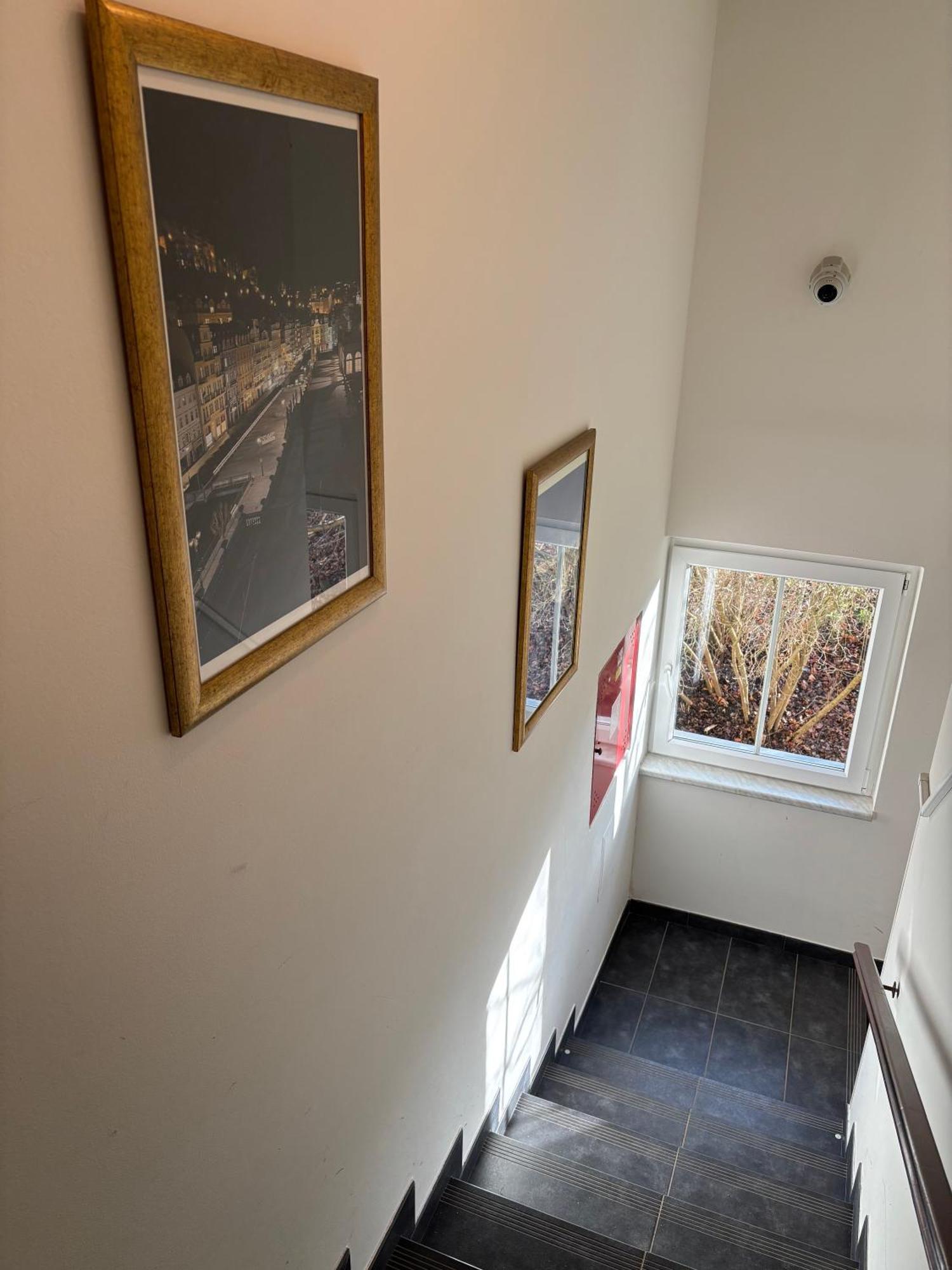Excellent Apartments In Spa City Center 5 Min Walk From The Colonnade Karlovy Vary Eksteriør bilde